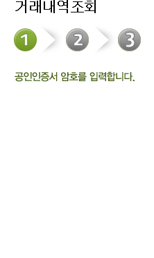 거래내역조회 첫번째 단계 공인인증서 암호를 입력합니다.