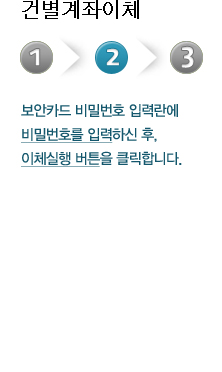 건별계좌이체 두번째 단계 보안카드 비밀번호 입력란에 비밀번호를 입력하신후, 이체실행 버튼을 클릭합니다.