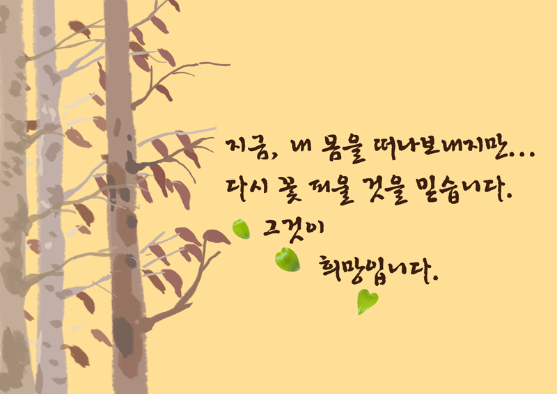 지금, 내 몸을 떠나보내지만... 다시 꽃 피울 것을 믿습니다. 그것이 희망입니다.